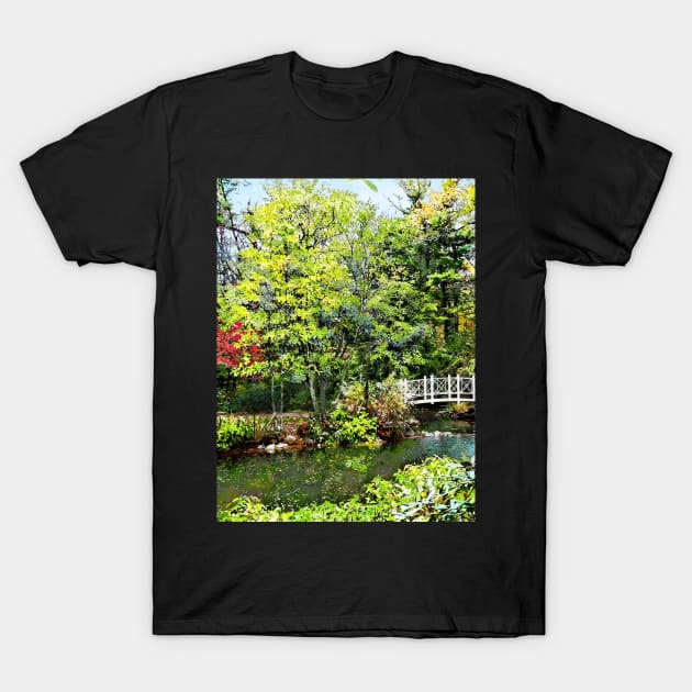 Decorative Bridge in Autumn Park T-Shirt by SusanSavad